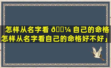 怎样从名字看 🐼 自己的命格「怎样从名字看自己的命格好不好」